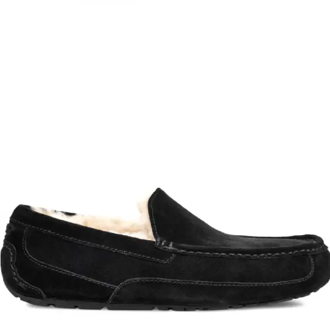 Ascot Black — Black