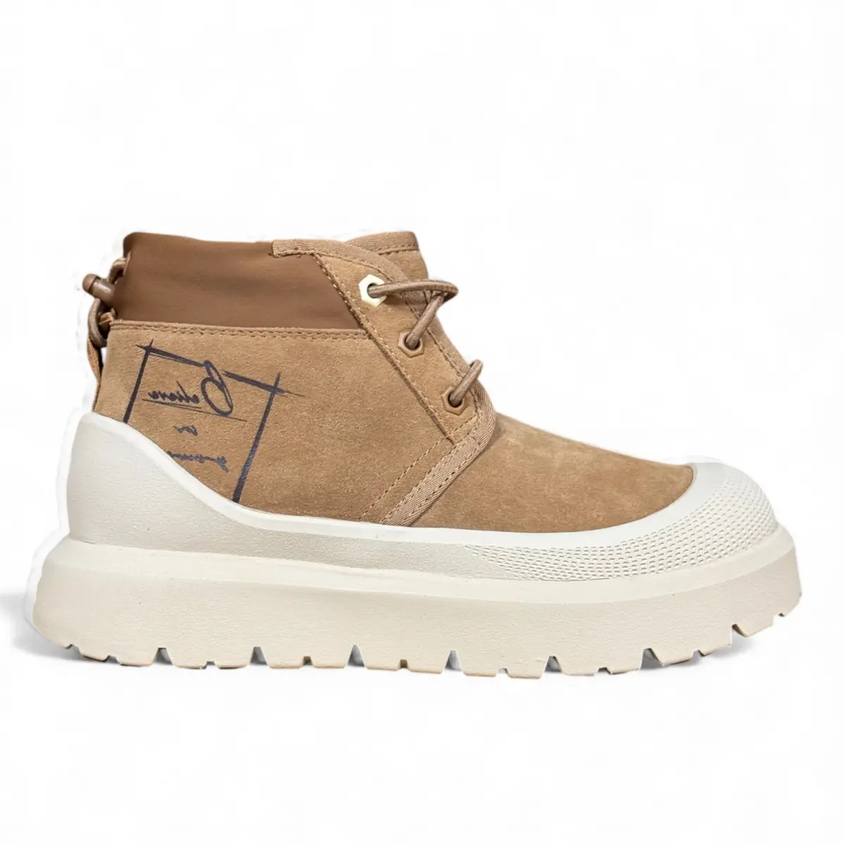 Chestnut Whitecap A-2