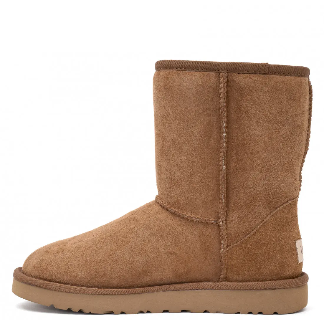 Classic Short II Chestnut — Chestnut, дополнительный вид