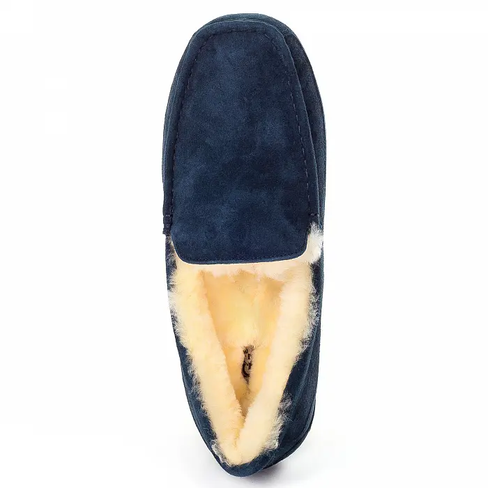 Ascot — Navy